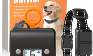 Pet Tech Is Evolving From Tracking Pets