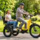 Electric Bikes