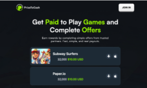 Online Rewards Platforms