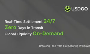 Owns Compliance in a Stablecoin Payment