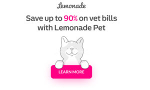 Pet Insurance