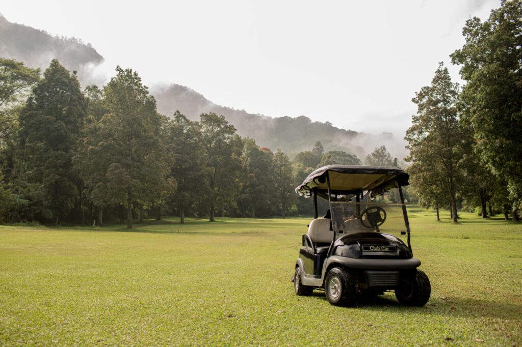 Golfing Experience