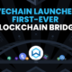 Vechain Wanchain