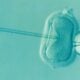 IVF Add-Ons: Separating