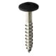 Powder Coated Screws