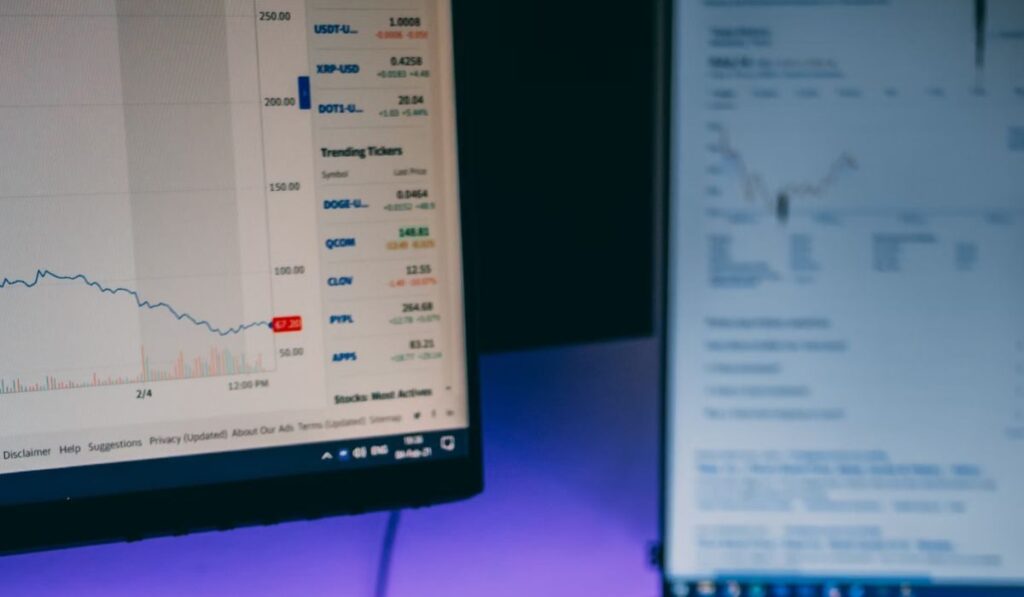 Bitcord Verdis Review 2025