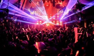 Premium Nightlife Guests in Gangnam