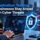 Penetration Testing