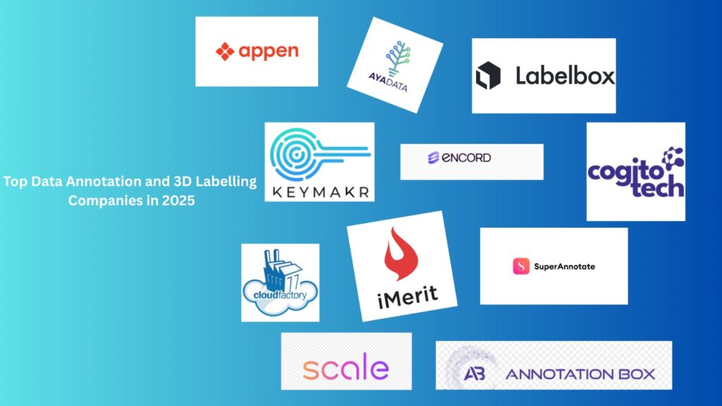 15 Best Data Annotation and 3D Labelling Companies in 2025