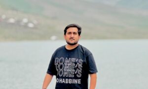 Ali Hamza Builds