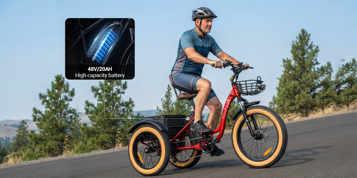 Electric Trikes