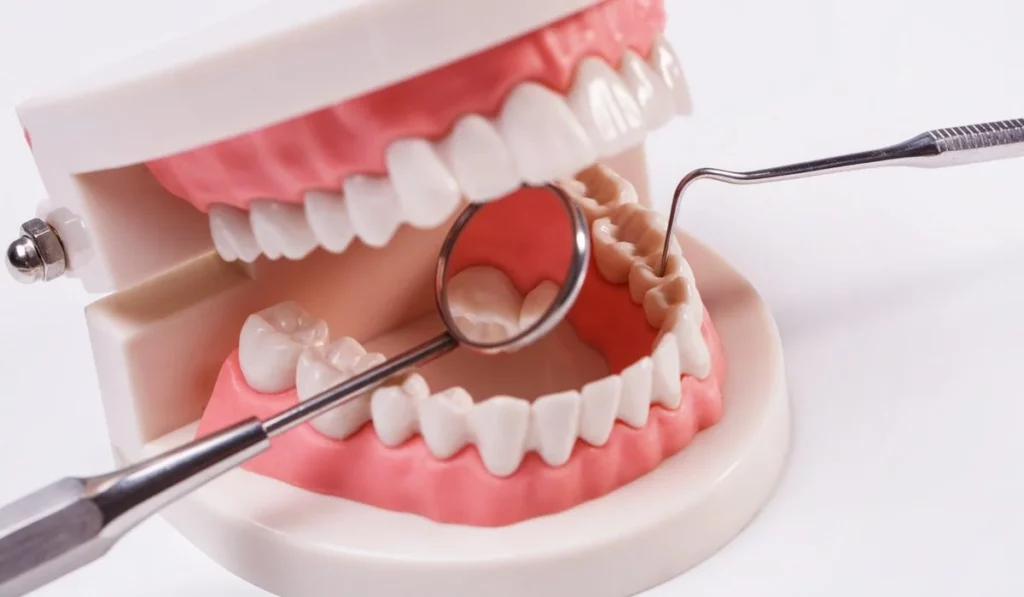 Best Dentists In Sydney
