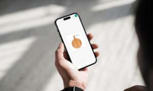 https://theactionelite.com/