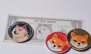 Functionality of Meme Coins