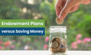 Endowment Plans and Saving Schemes