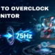 Overclock a Monitor