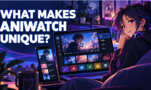 Makes AniWatch Unique For Anime Fans?