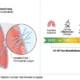 50-Year Fuse: Why Mesothelioma Appears