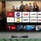 IPTV Service Providers
