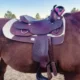 Affordable, Durable, Reliable: Horse Saddle Deals You Can Trust