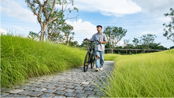 Torque Sensor vs. Cadence Sensor E-Bikes