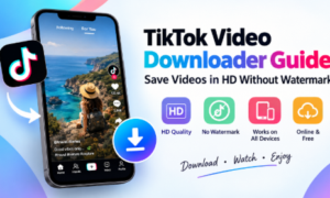 TikTok Video Downloader Guide