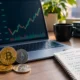 PedroVazPaulo Crypto Investment Strategies
