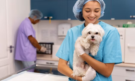 Caring for Your Pets: Everything You Need to Know About Veterinary Care