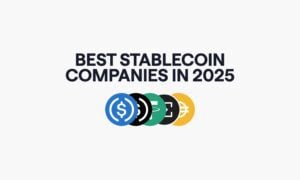 Who Are The Best Stablecoin Payment Providers In 2025?