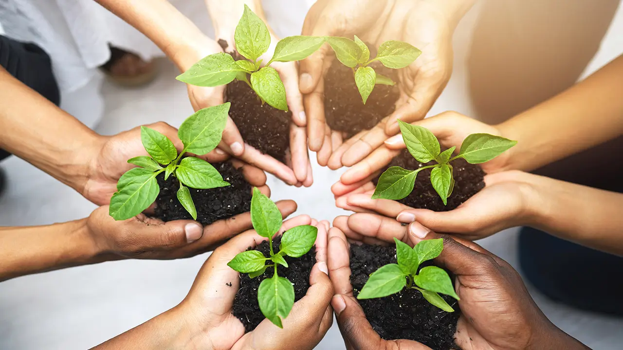 Sustainability in Home Services