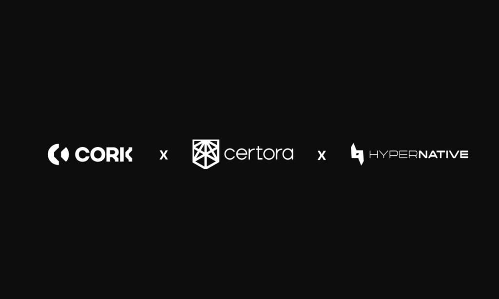 best security solutions for defi protocols and web3 platforms