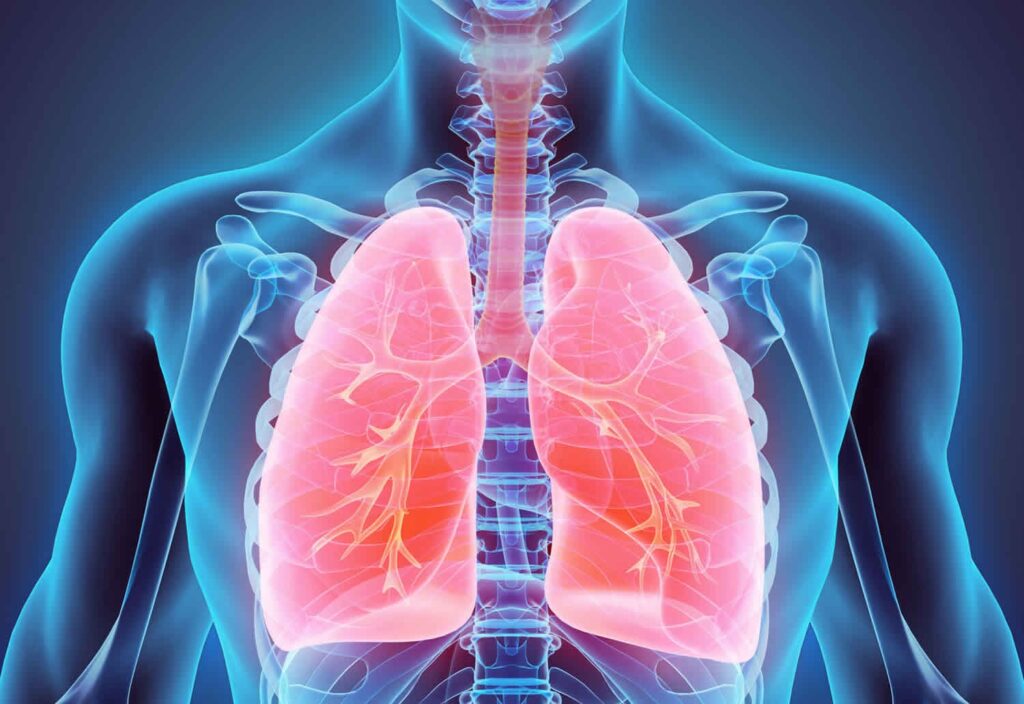 Oncology Drug Development.