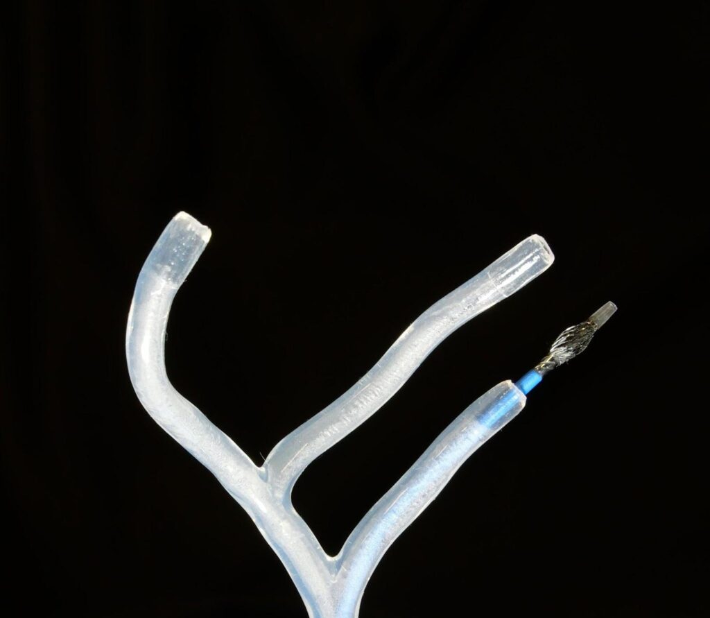 The team is testing the shape-transforming catheter prototype in a silicone model of blood vessels that replicates human vascular anatomy.
