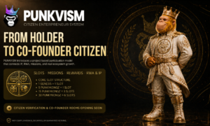 PUNKVISM Introduces