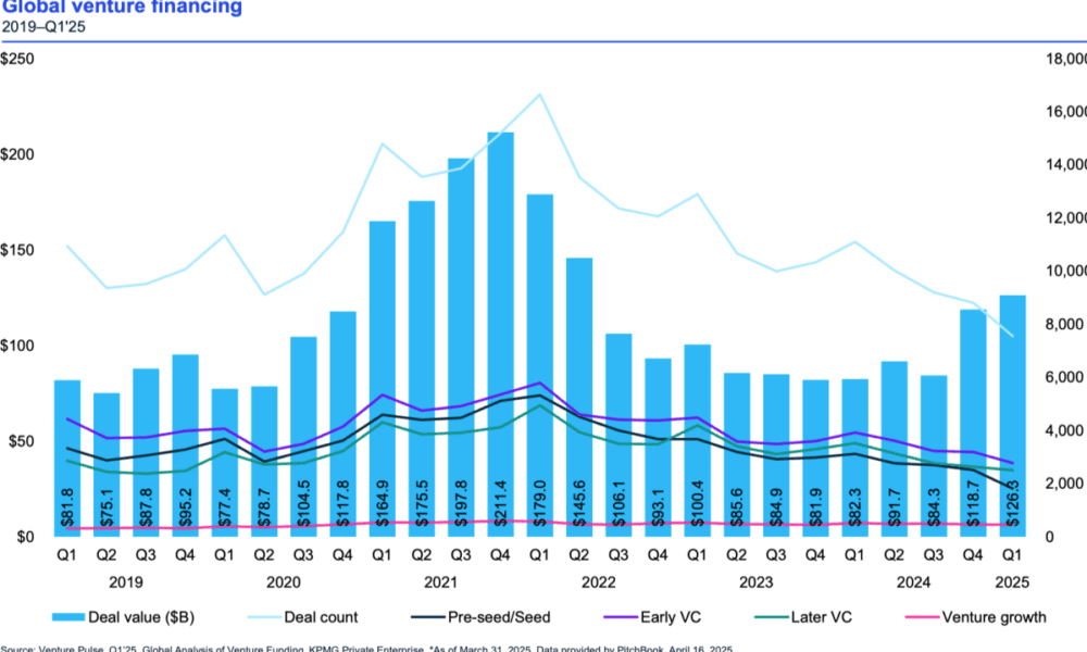 VSC Capitals Concludes 2025 with Platform Growth and Operational Progress