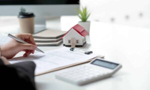 Real Estate Agent in Christchurch, New Zealand