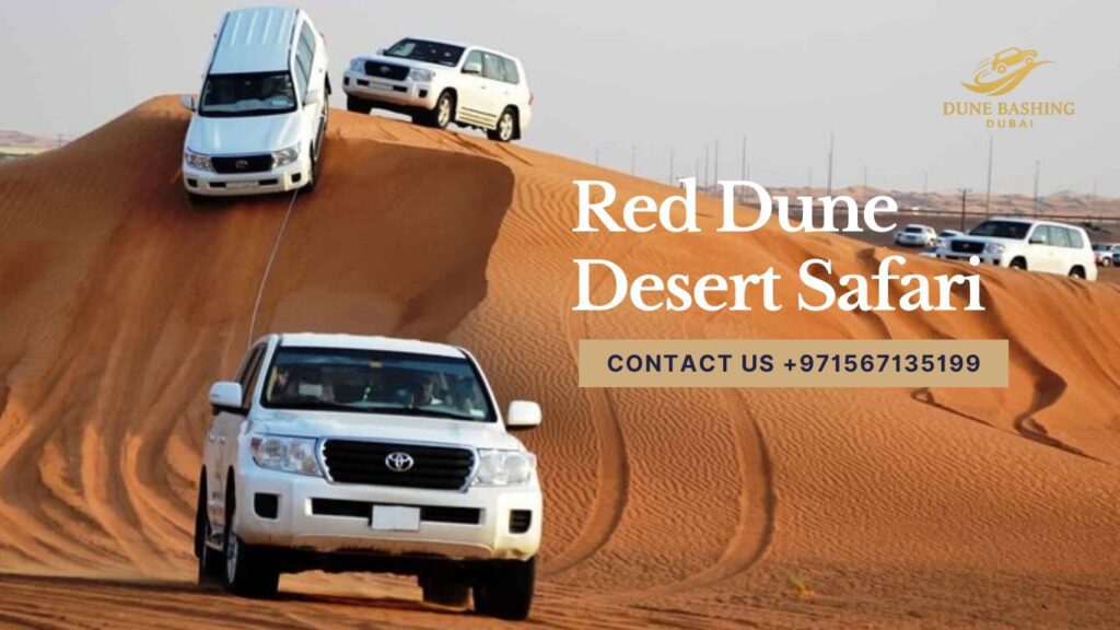 5 Important Things to Know Before You Booking Desert Safari Dubai