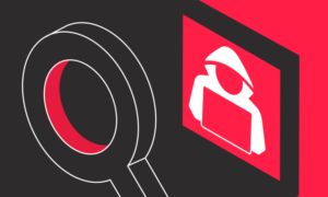 CPN Number and Authorized User Tradelines