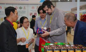 Vietnamia Connects B2B Buyers With Wholesale Suppliers in Vietnam