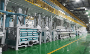 Chinese manufacturers