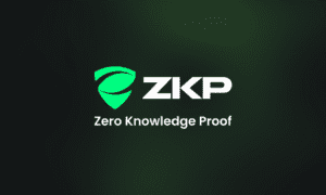 Mastering What Is ZKP: A Beginner’s Guide to the Future of Privacy