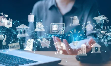 Digital Identity Systems