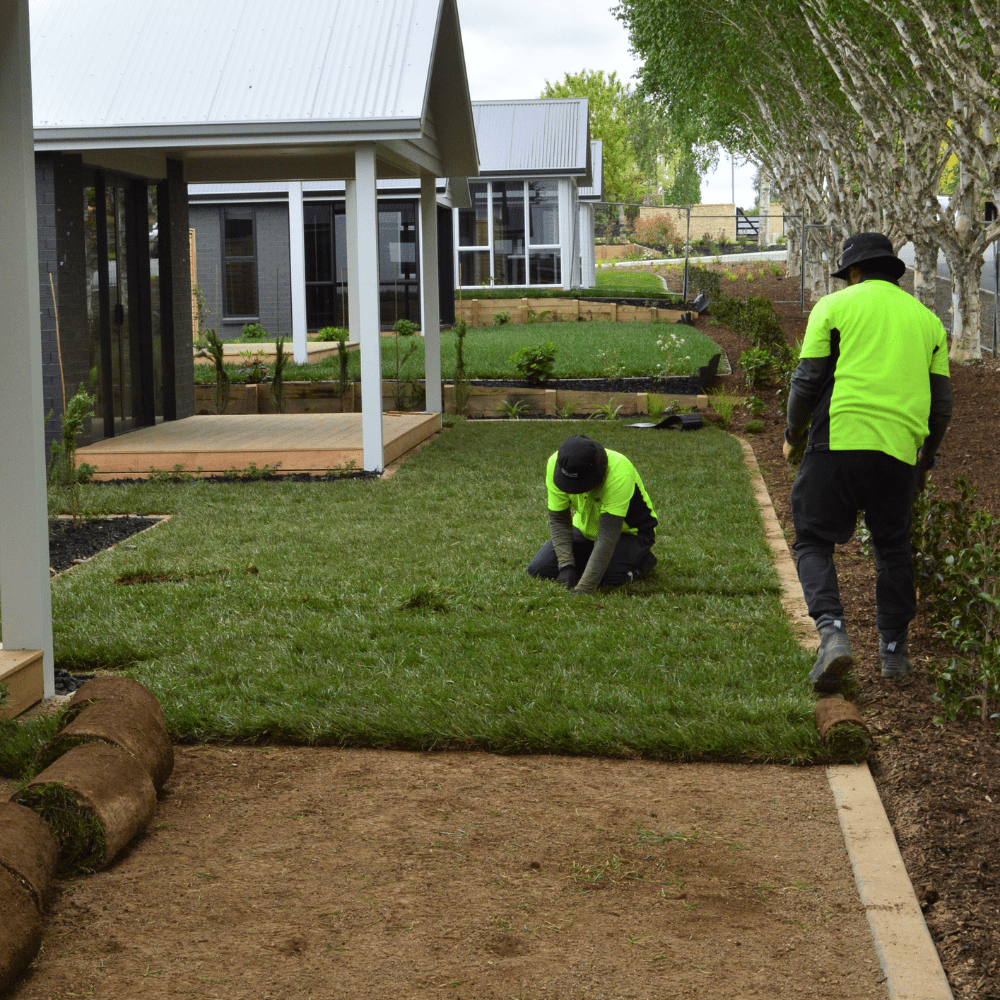 How Tauranga Property Owners Keep Their Lawns Healthy Year-Round