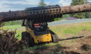 Industrial Vegetation Management