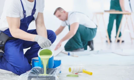 Professional Painter