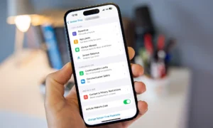 Choose Bark if you want: