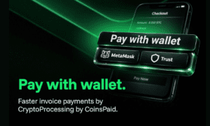 how to accept cryptocurrency payments on my website for eCommerce business