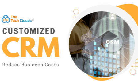 How Customized CRM Can Reduce Costs in the  Long Run for Businesses  