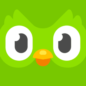 Duolingo is one of the most widely used language-learning apps, recognized for its bright interface and highly gamified lesson design. 