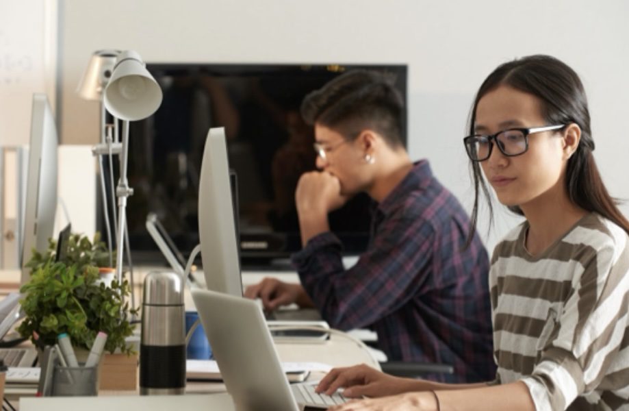 What is Web Development? Freelance Opportunities and Full-Time Careers